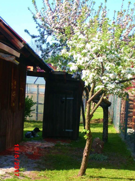 Sedliacka Drevenica Villa Liptovska Osada Ngoại thất bức ảnh